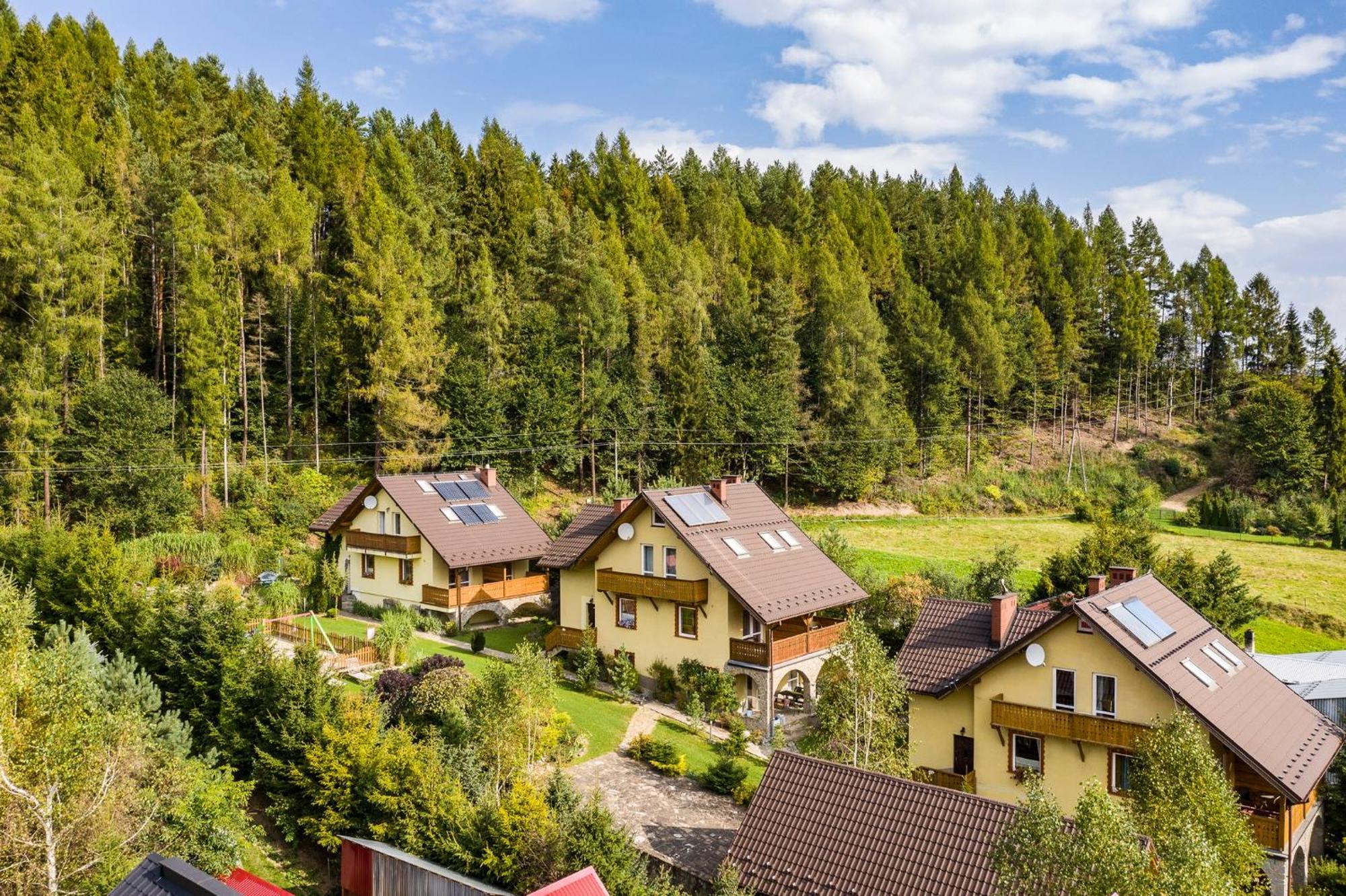Apartamenty Zielona Owieczka Niedzica Zamek Ngoại thất bức ảnh